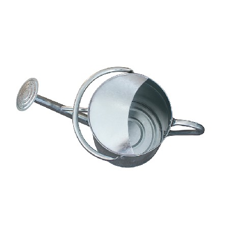 Traditional Metal Galvanized Watering Can