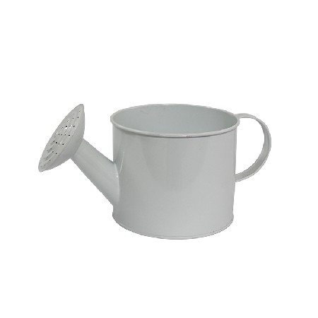 Galvanized metal power coated flower watering can