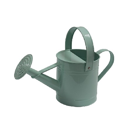 Light blue galvanized metal plant watering can