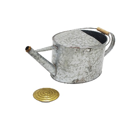 Garden galvanized silver vintage watering can