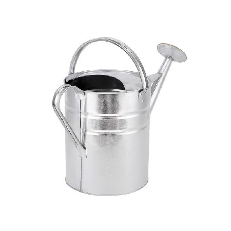 10 Litre Traditional Galvanised Watering Can